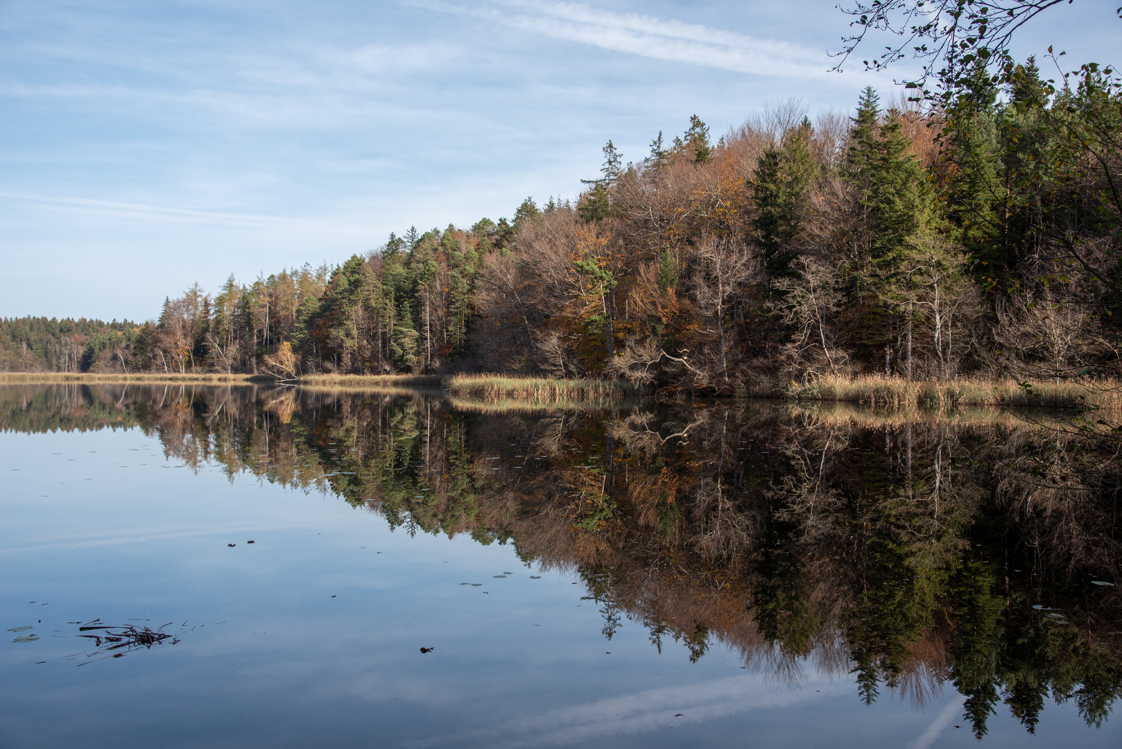 Herbst