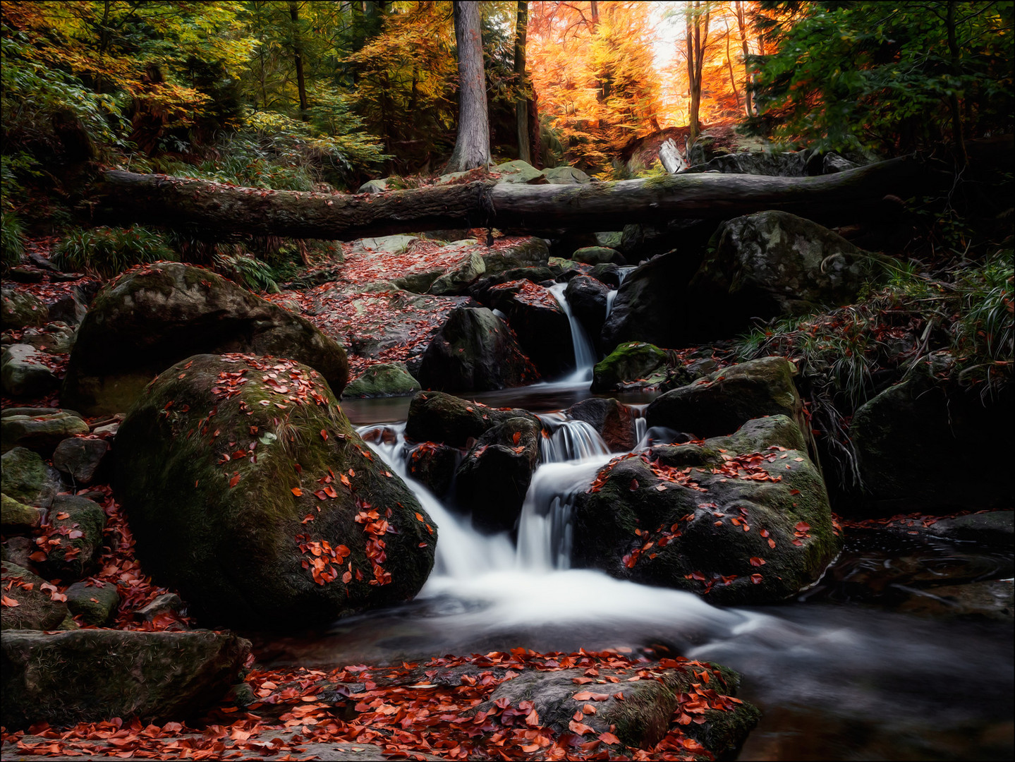 Herbst