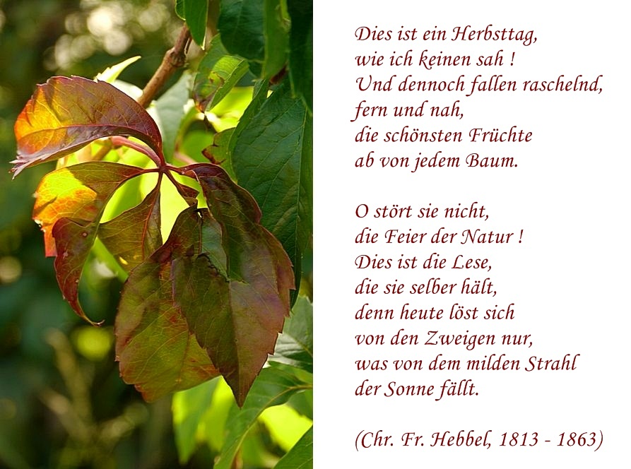 Herbst