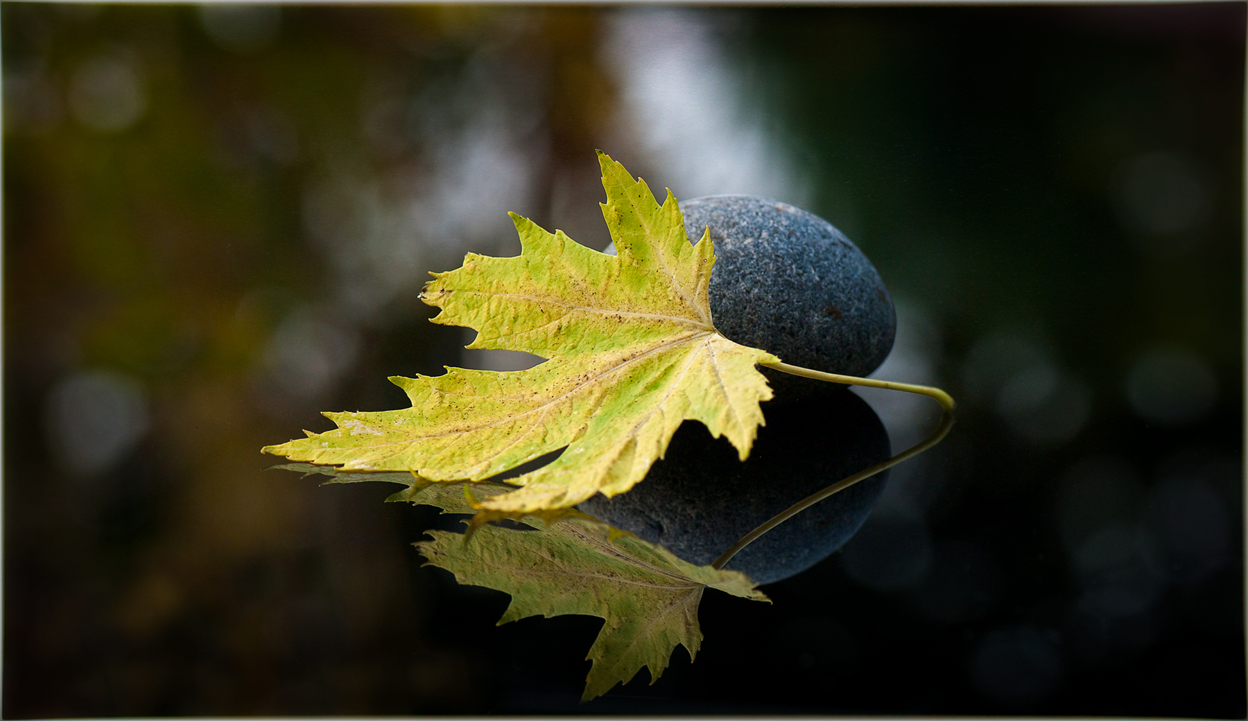 Herbst