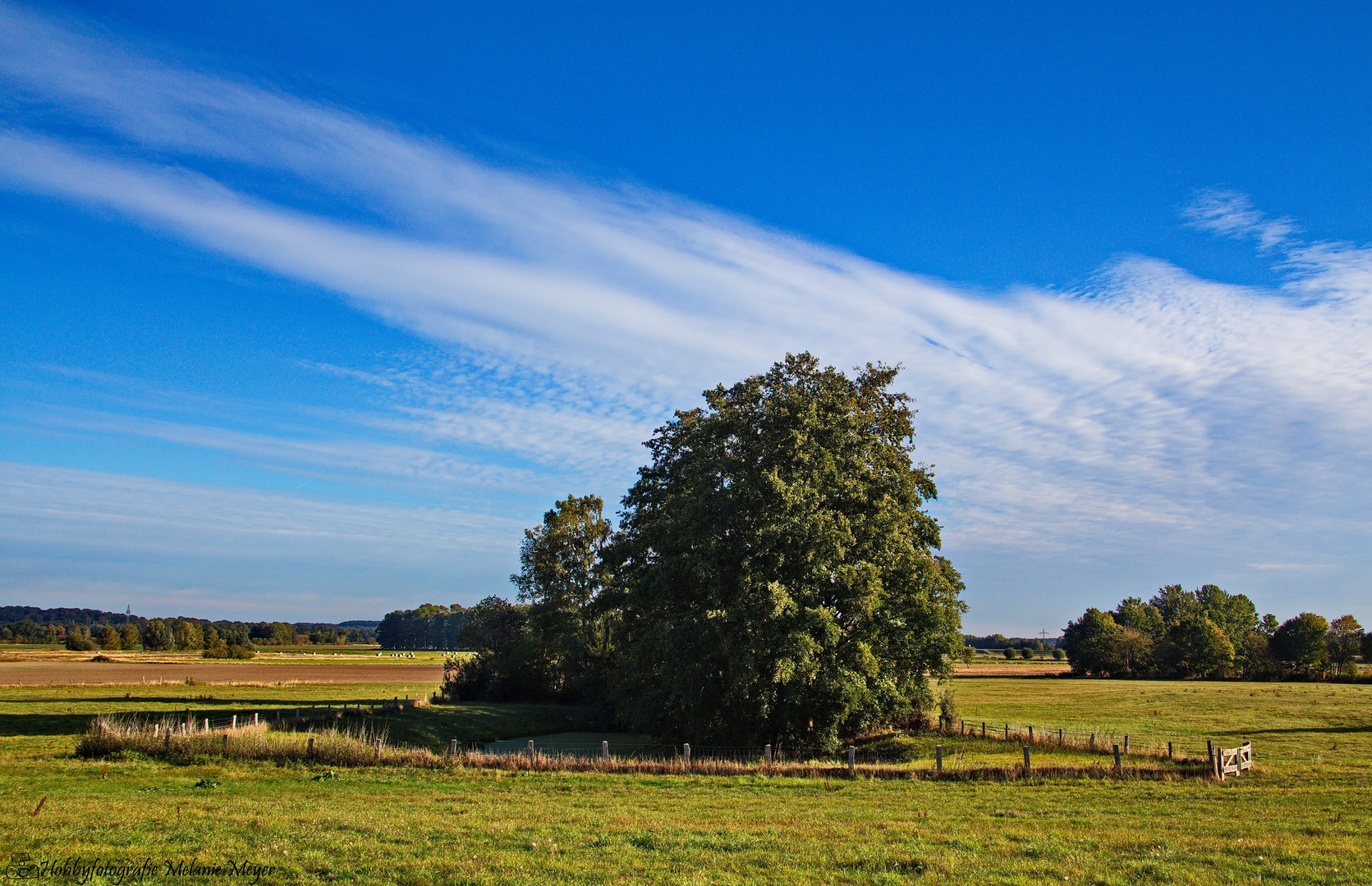 Herbst