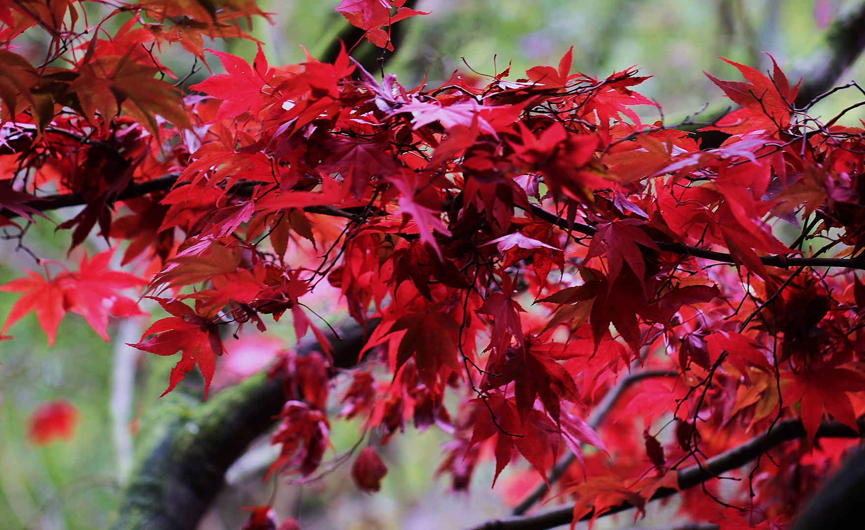 Herbst..