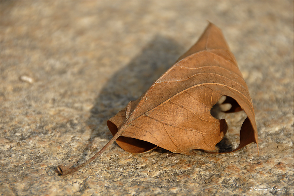 Herbst