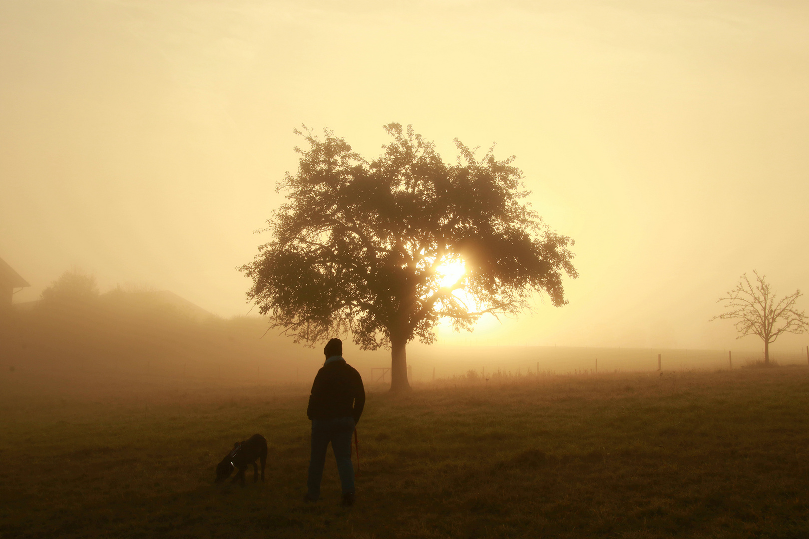 Herbst