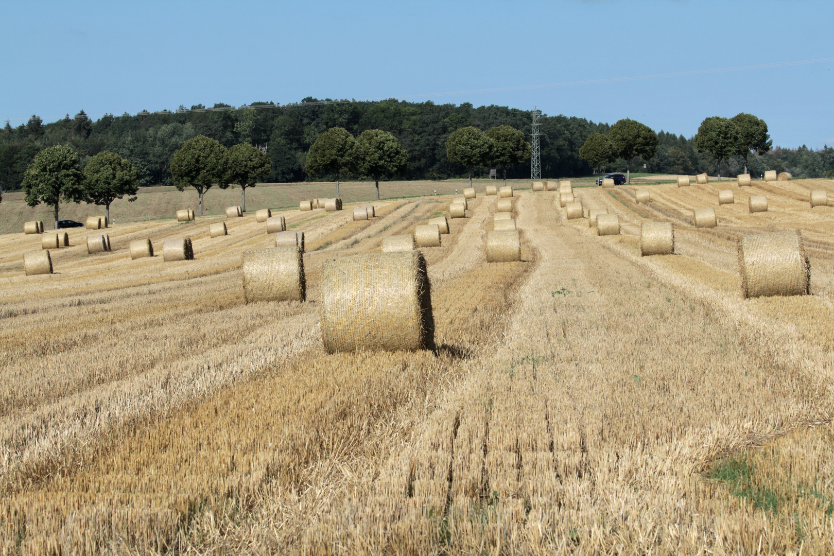 Herbst