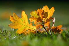Herbst..