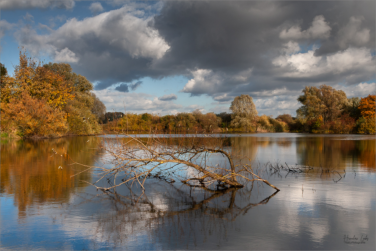 Herbst ...