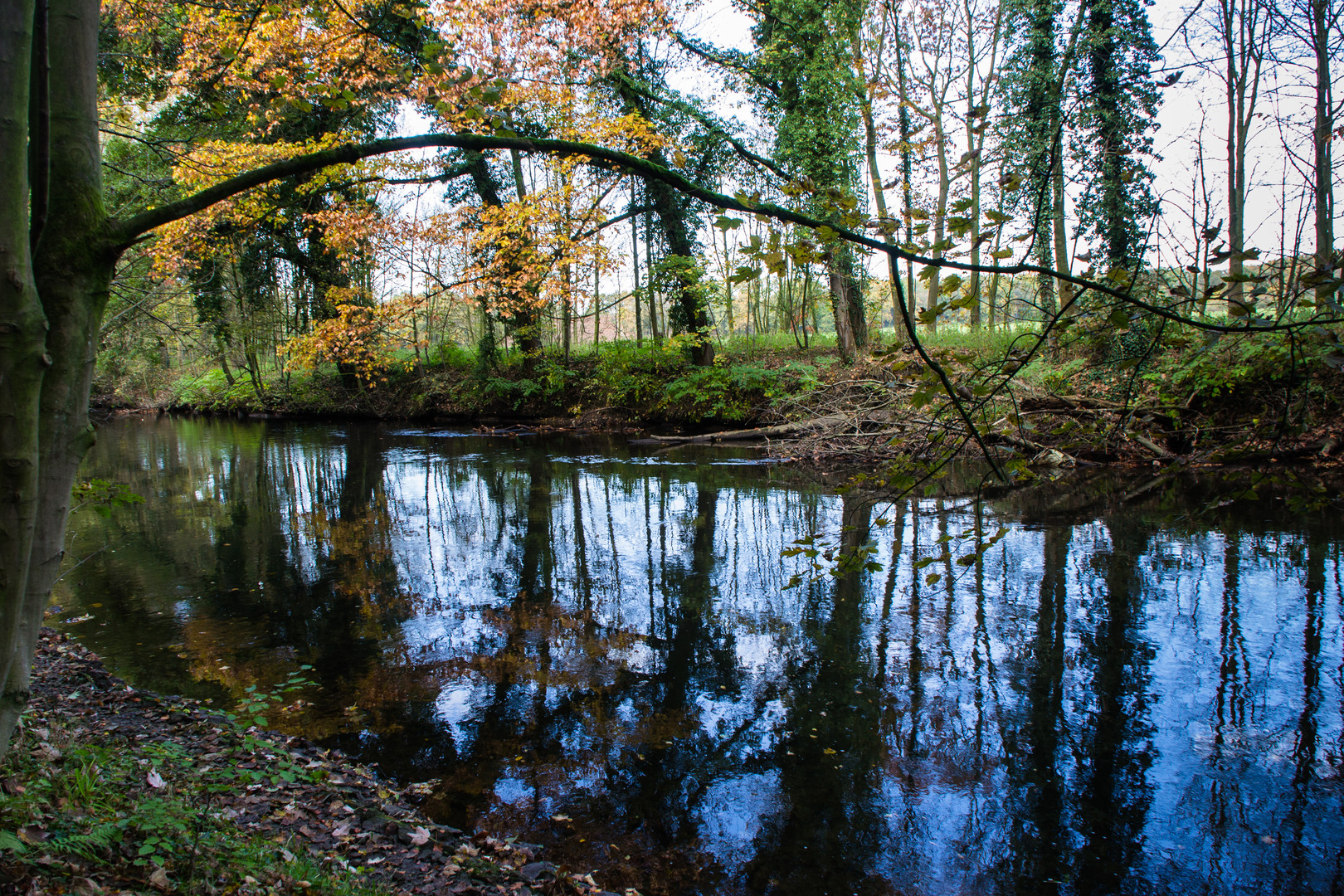 Herbst