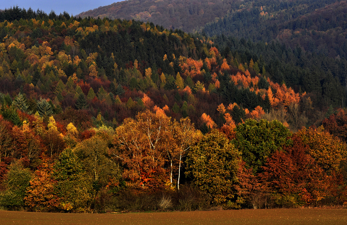 Herbst 