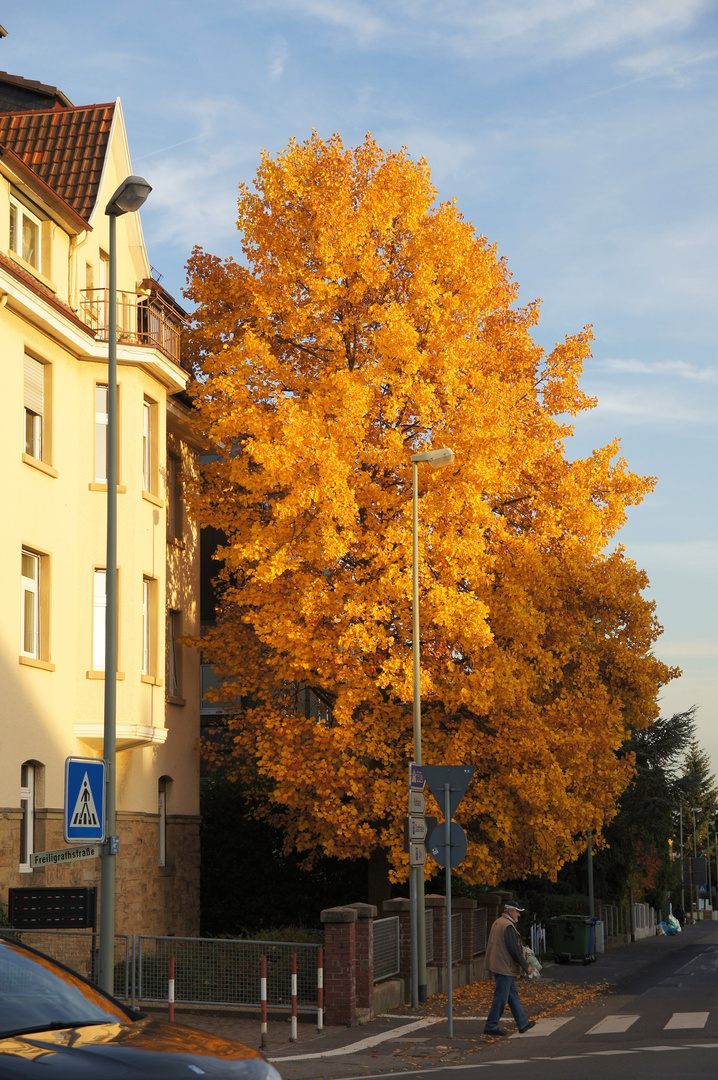 Herbst