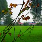 Herbst