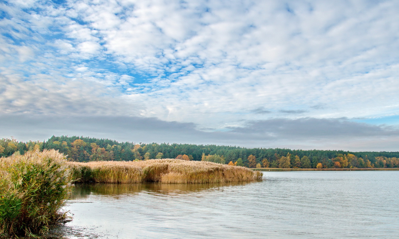 Herbst