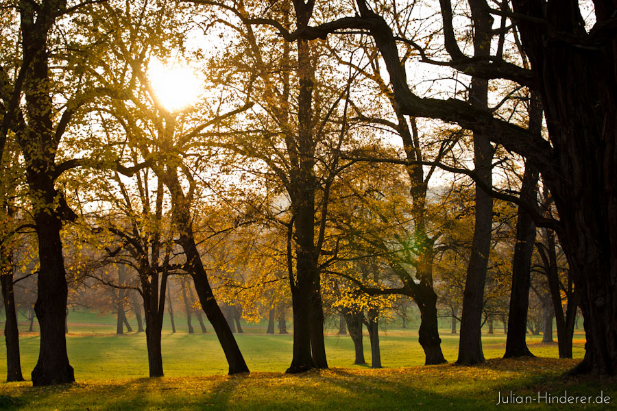 Herbst