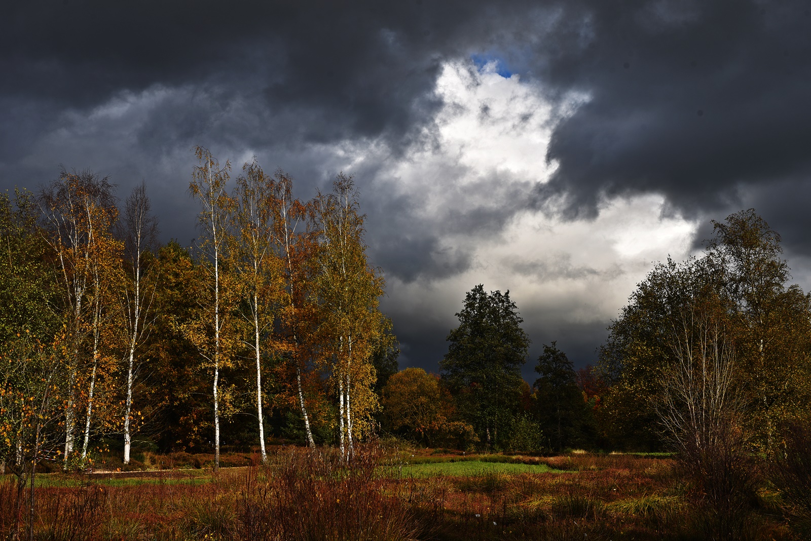 Herbst 