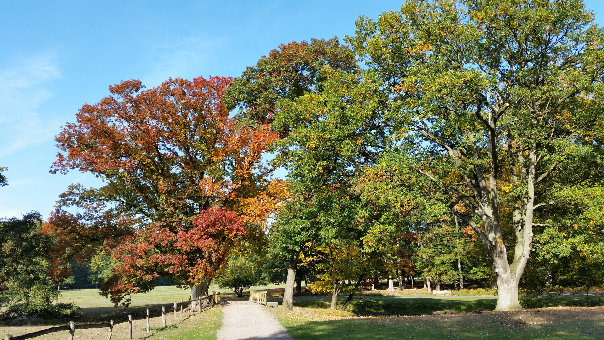 Herbst