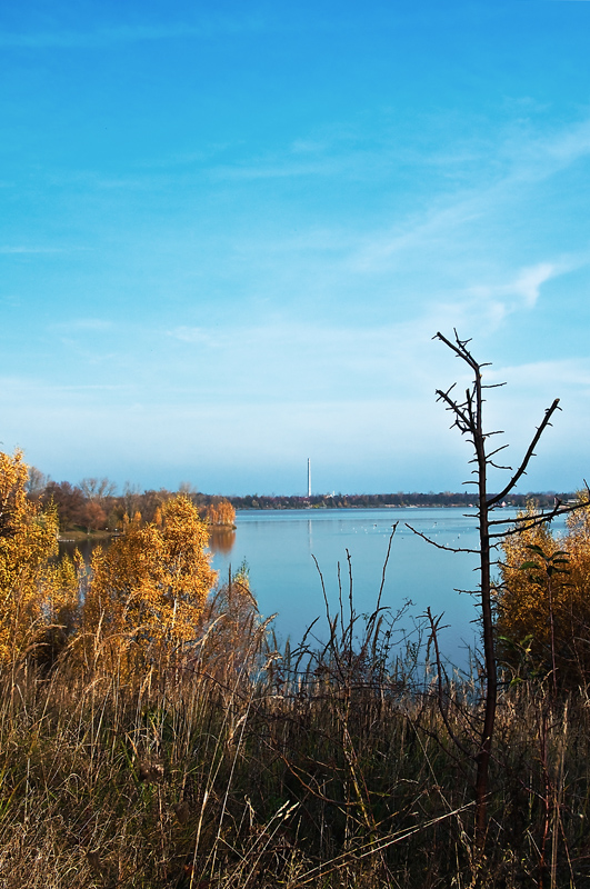 Herbst