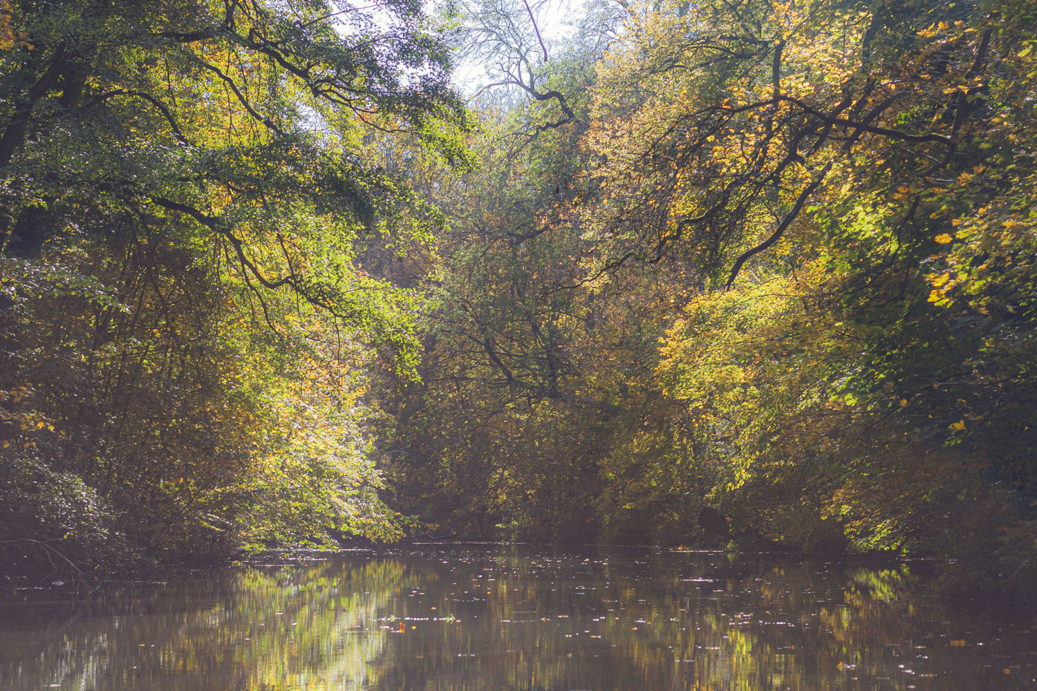 Herbst.