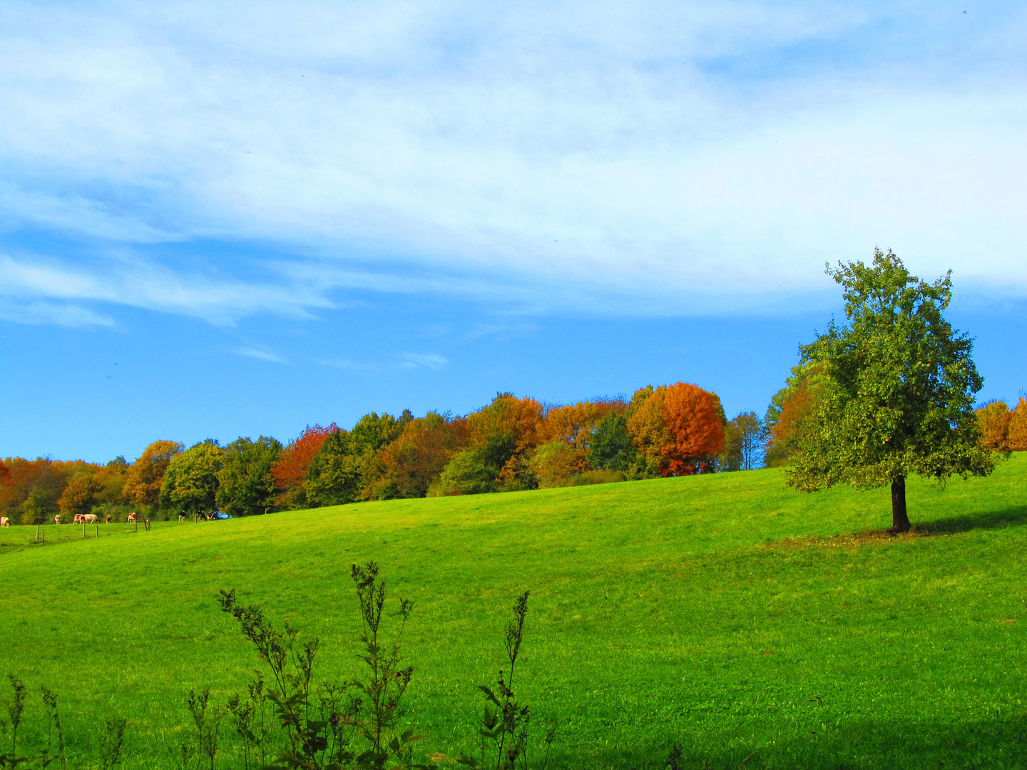 Herbst