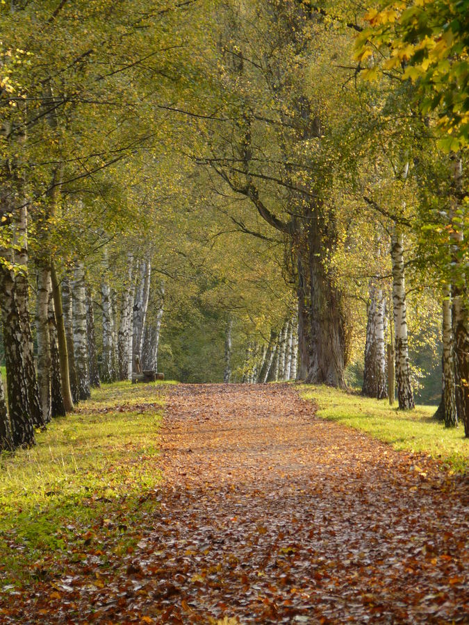 Herbst