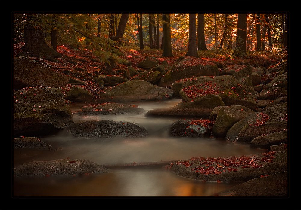 - Herbst -