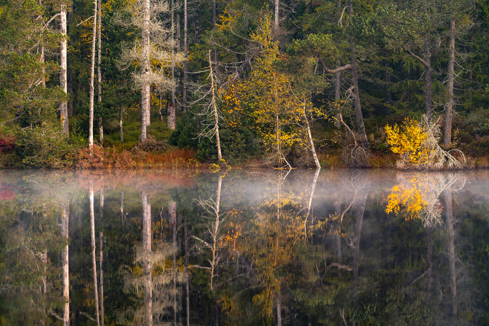 Herbst