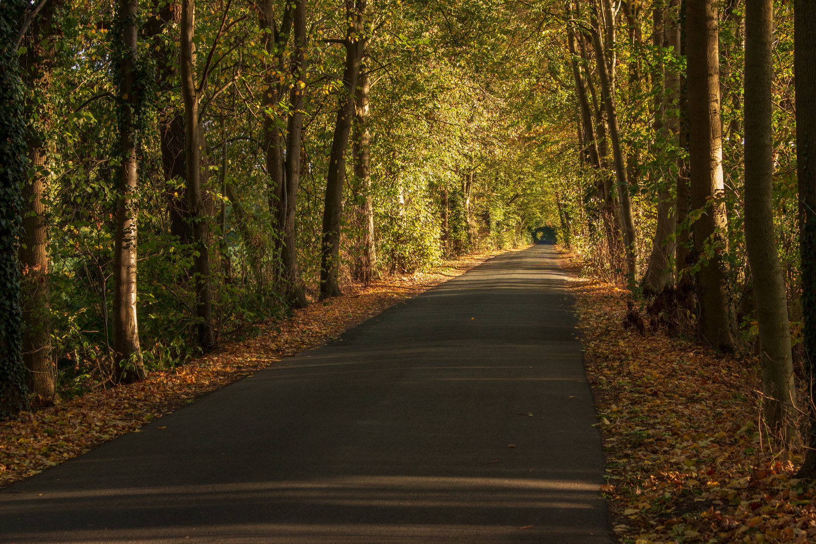 Herbst