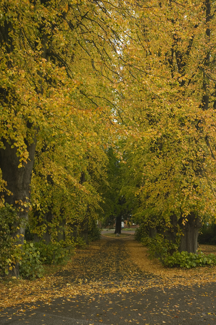 Herbst