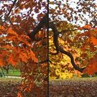 Herbst 5 (3D)