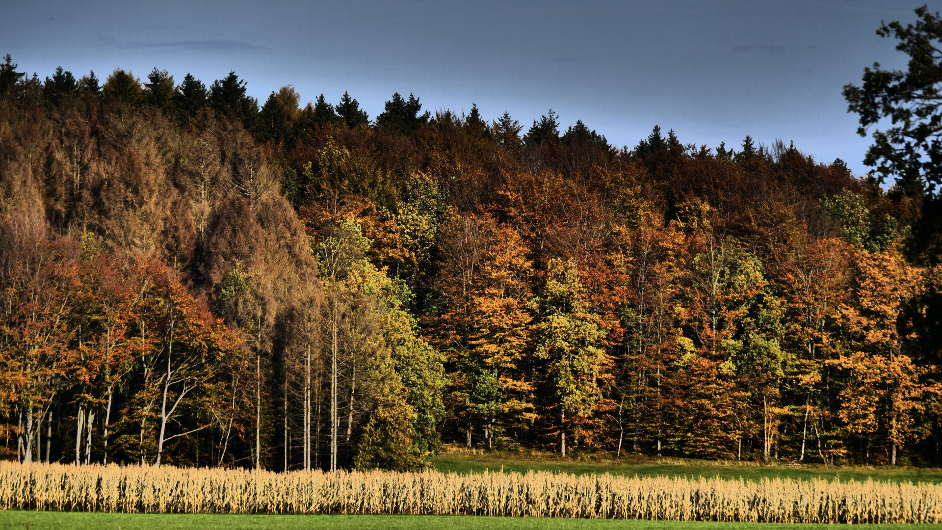 Herbst