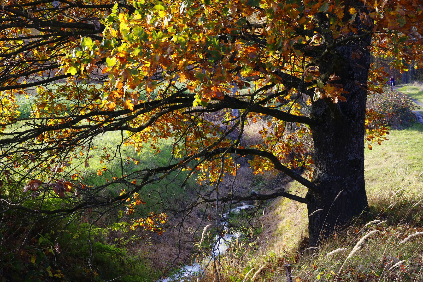 Herbst