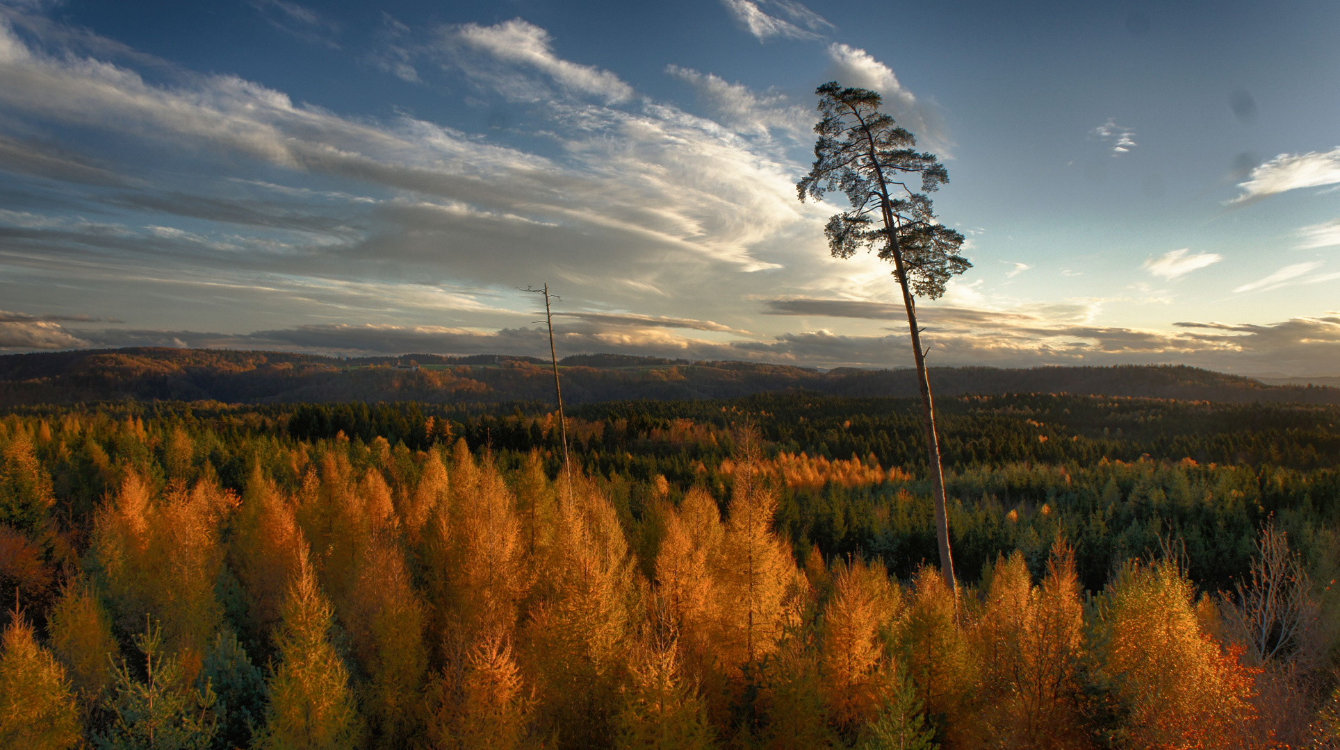 Herbst