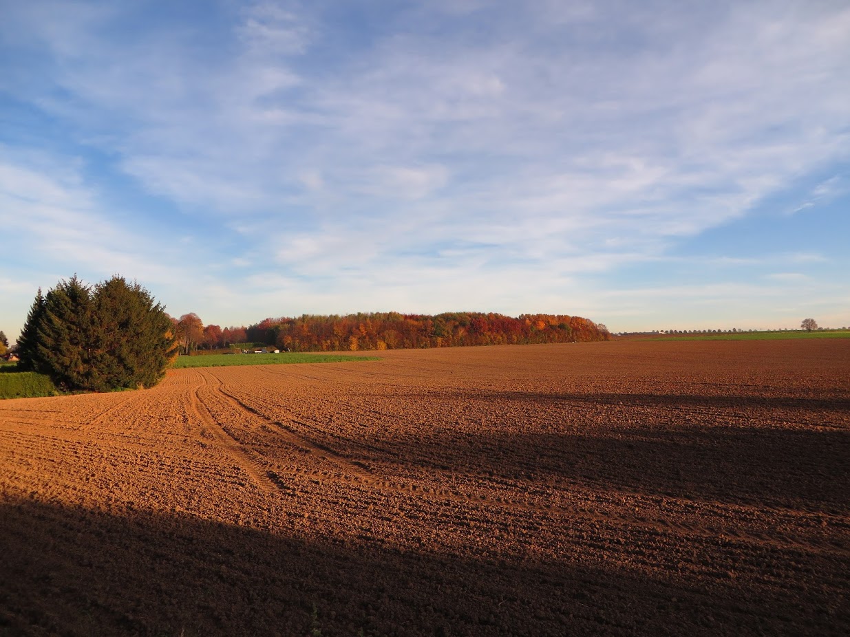 Herbst