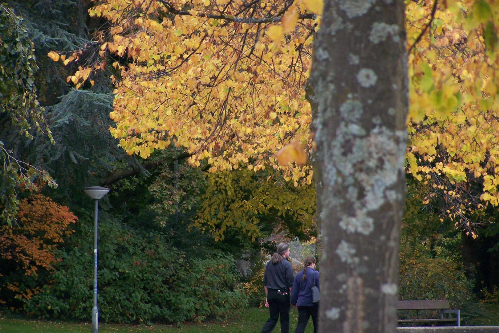 Herbst