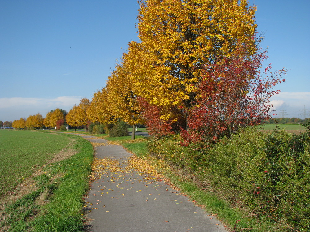 Herbst