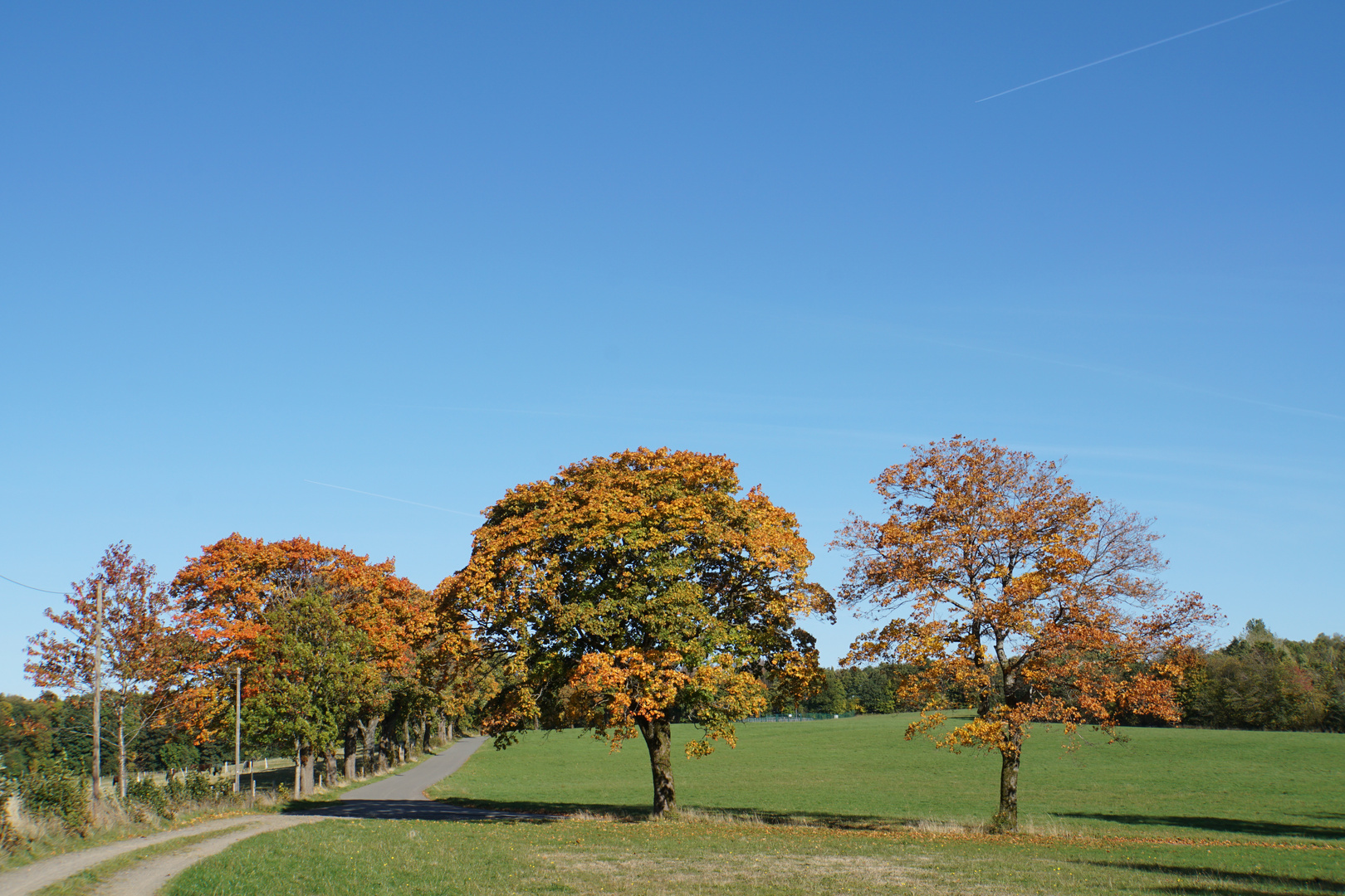 Herbst