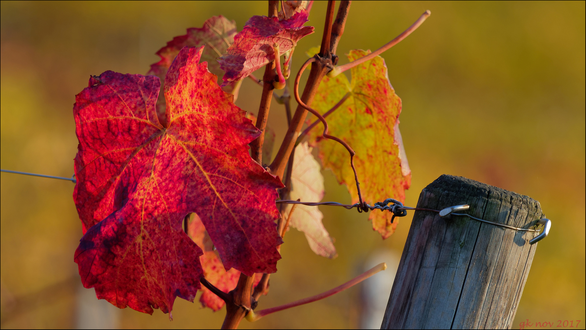 Herbst