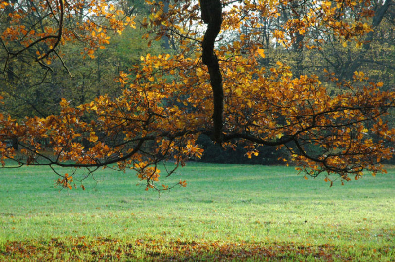 Herbst