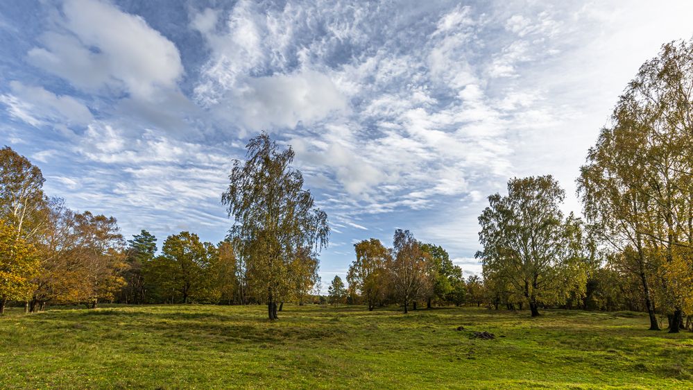 herbst