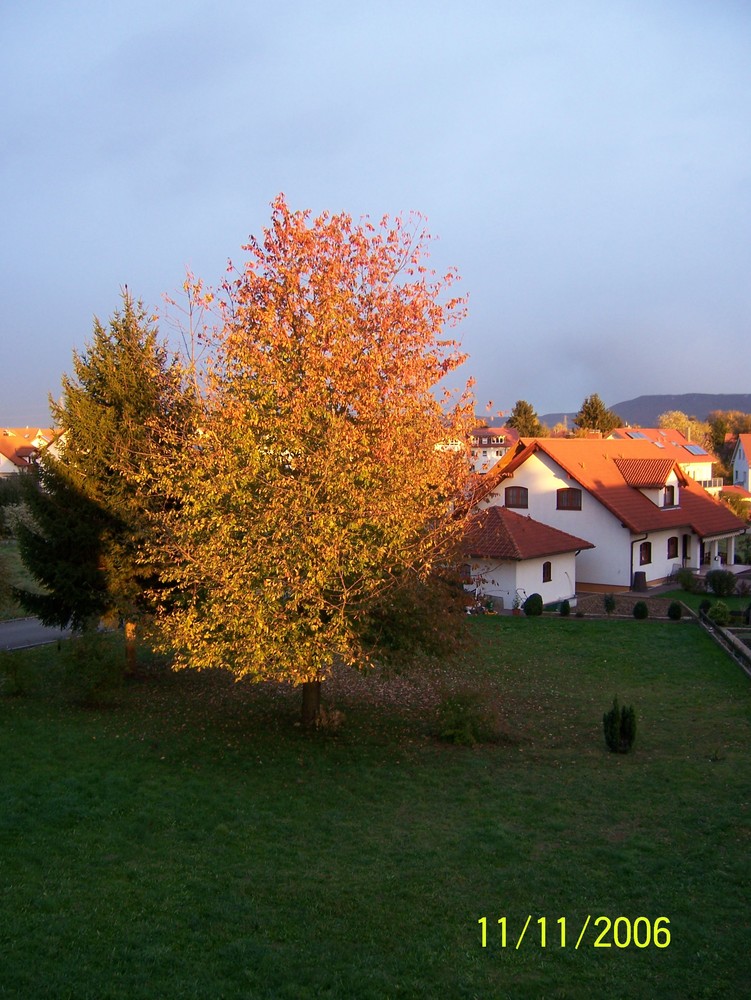 Herbst