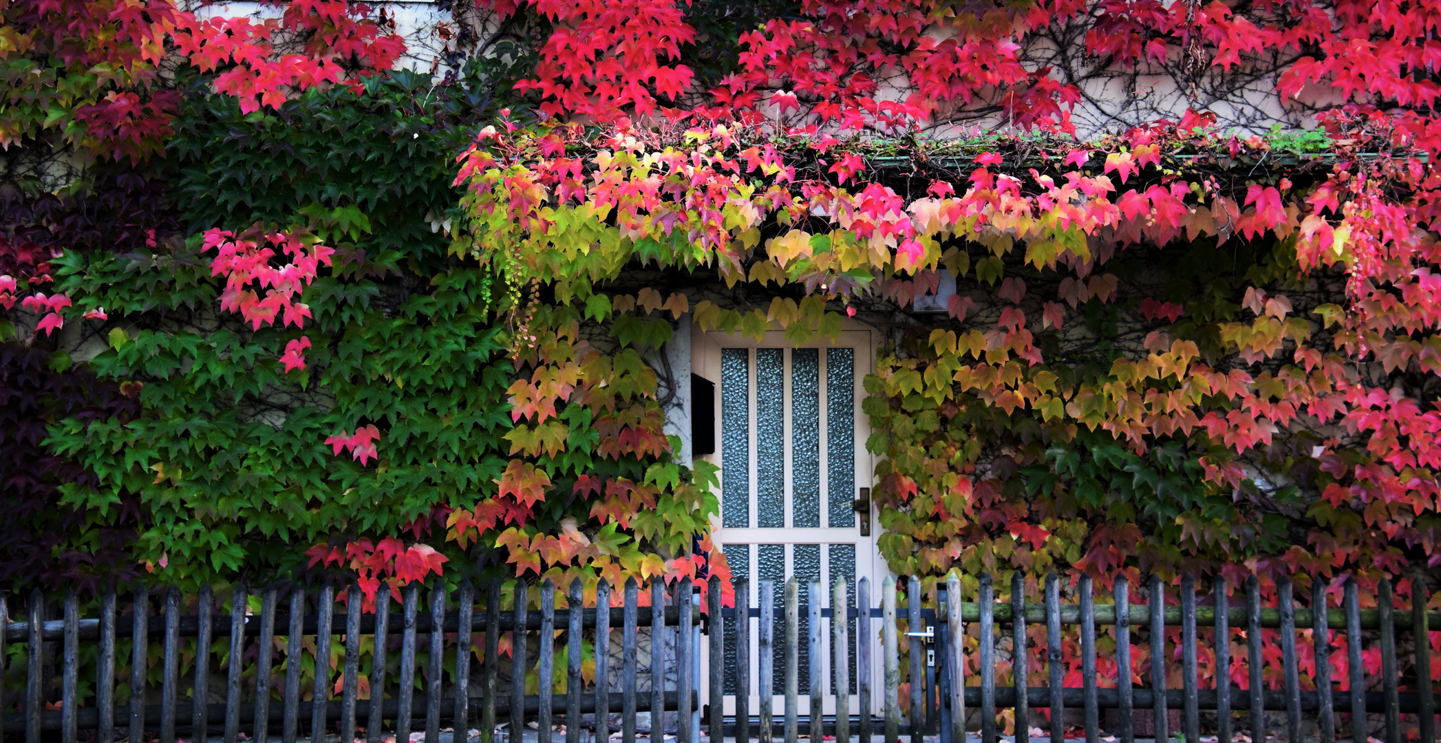 Herbst