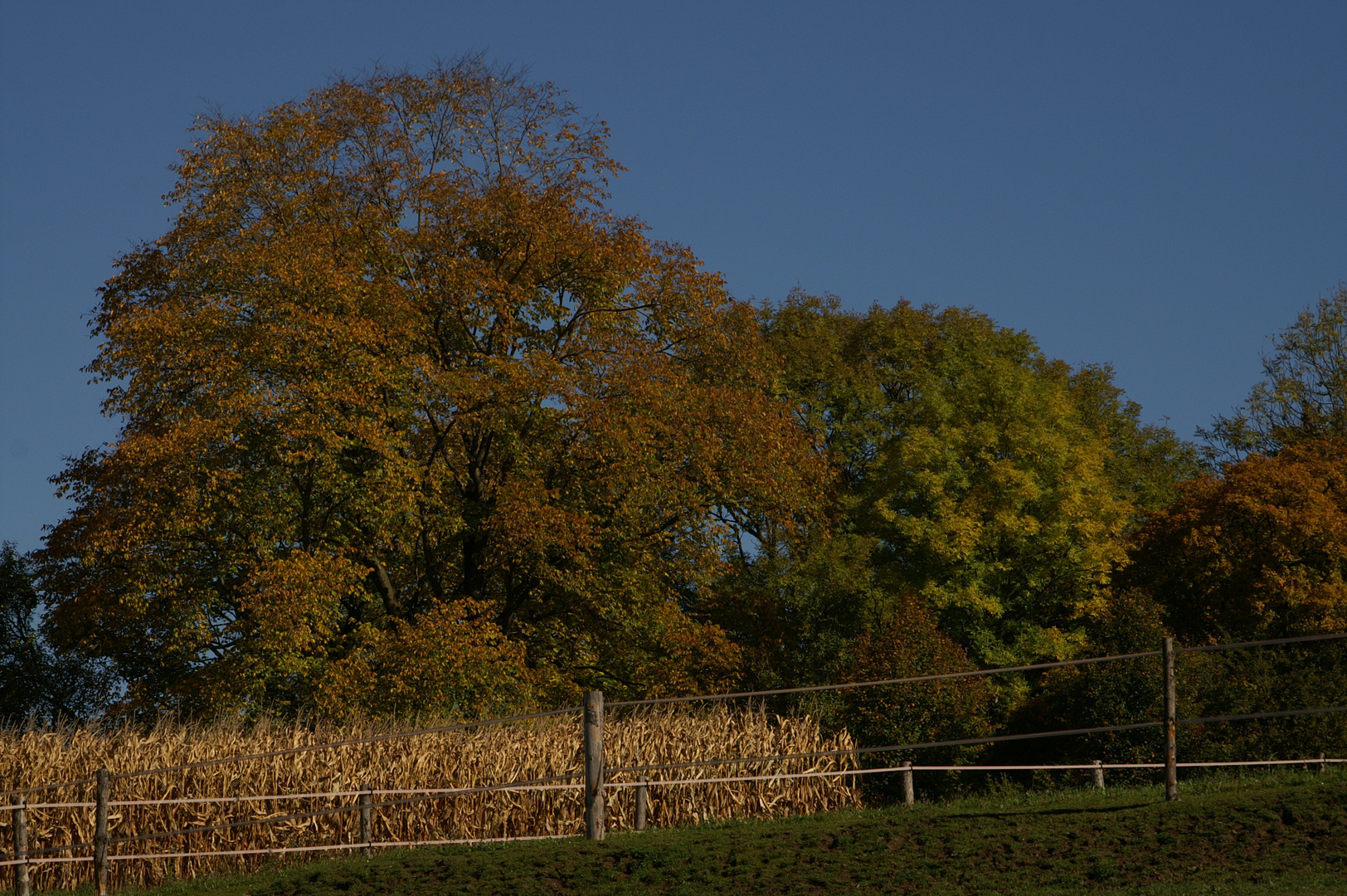 Herbst