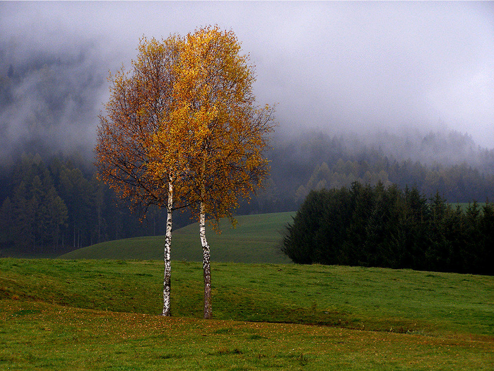 Herbst