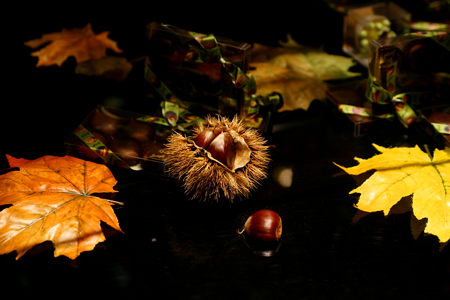 Herbst