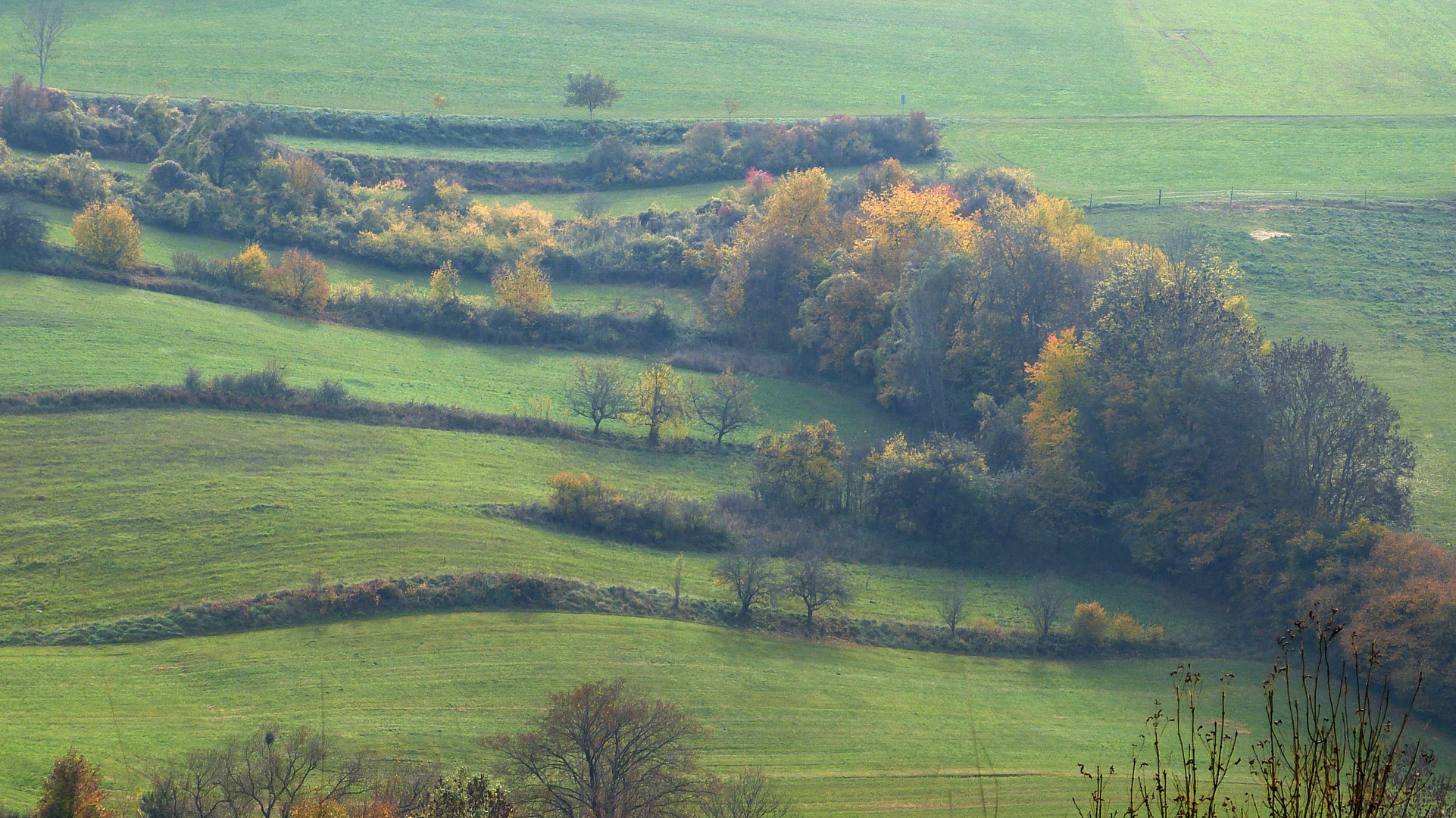 Herbst