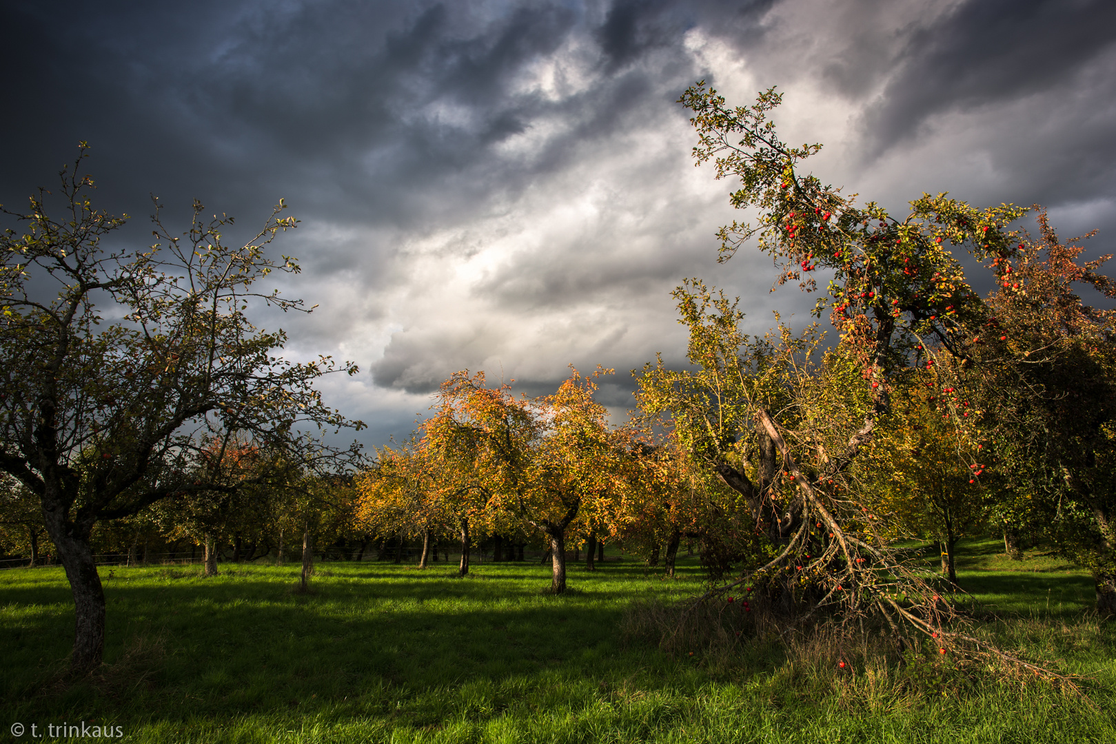 Herbst