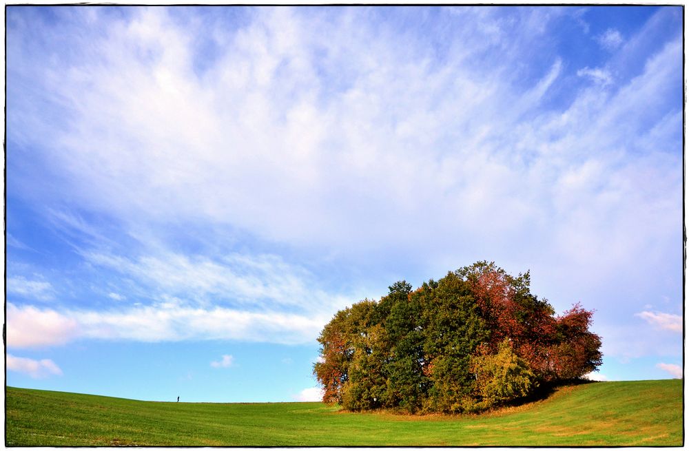 Herbst