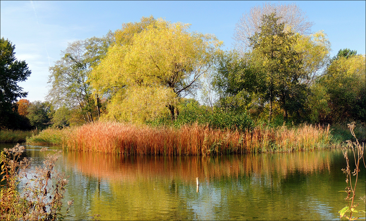 Herbst 