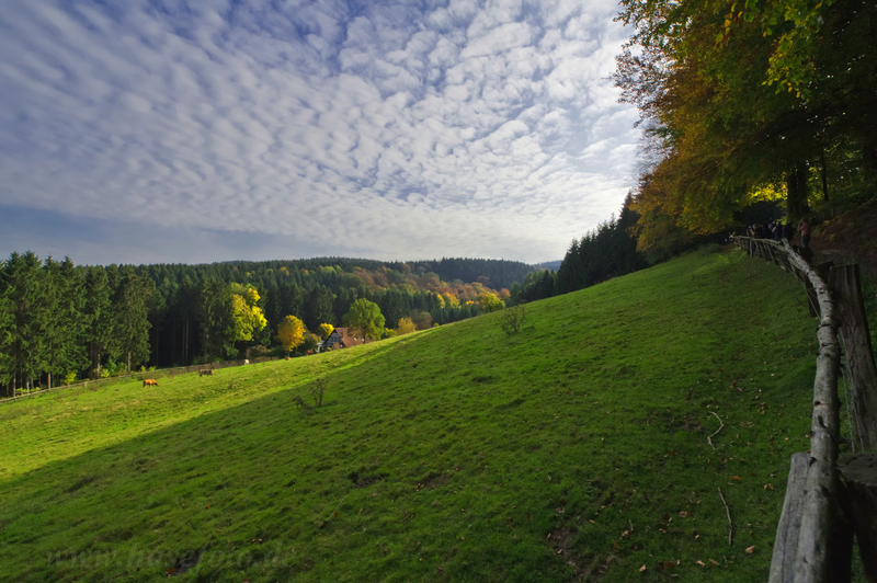 Herbst...