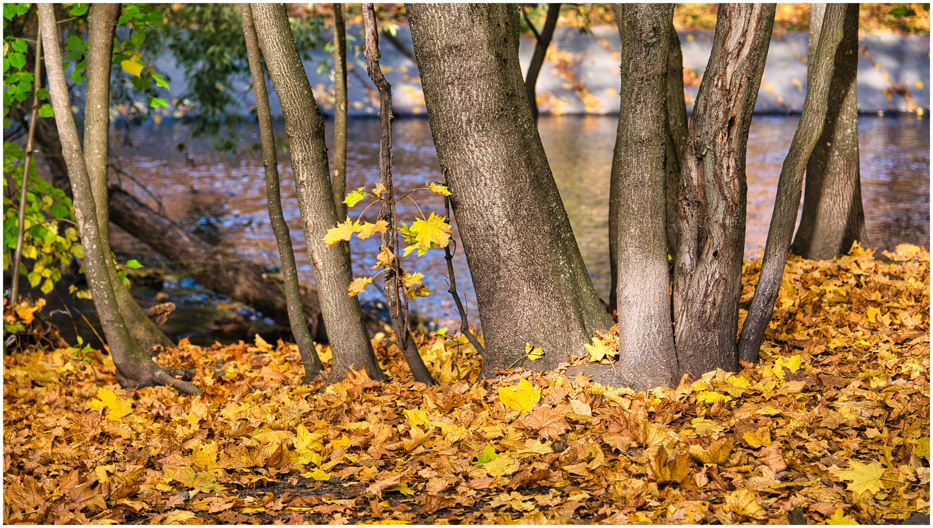 Herbst