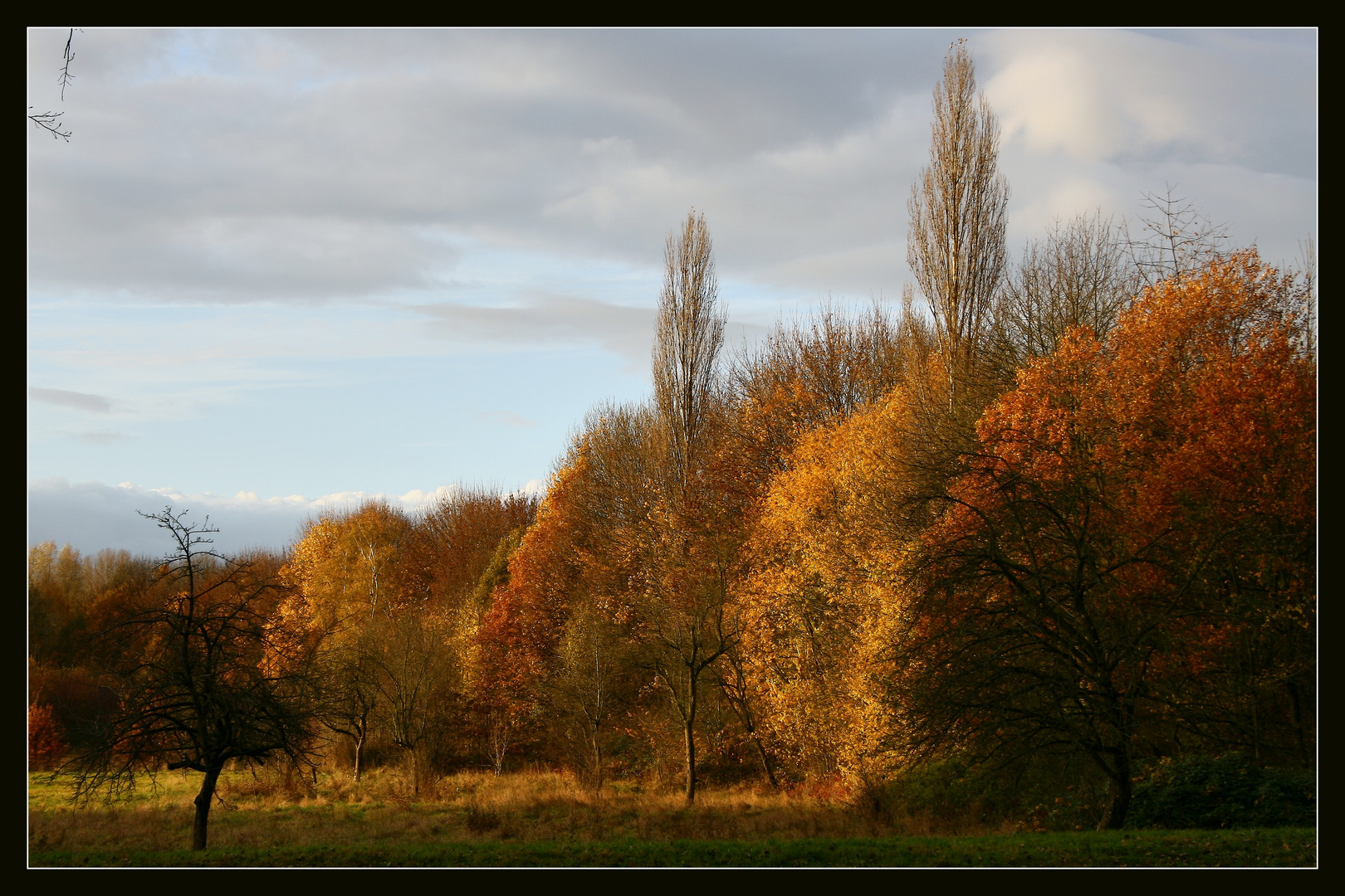 Herbst